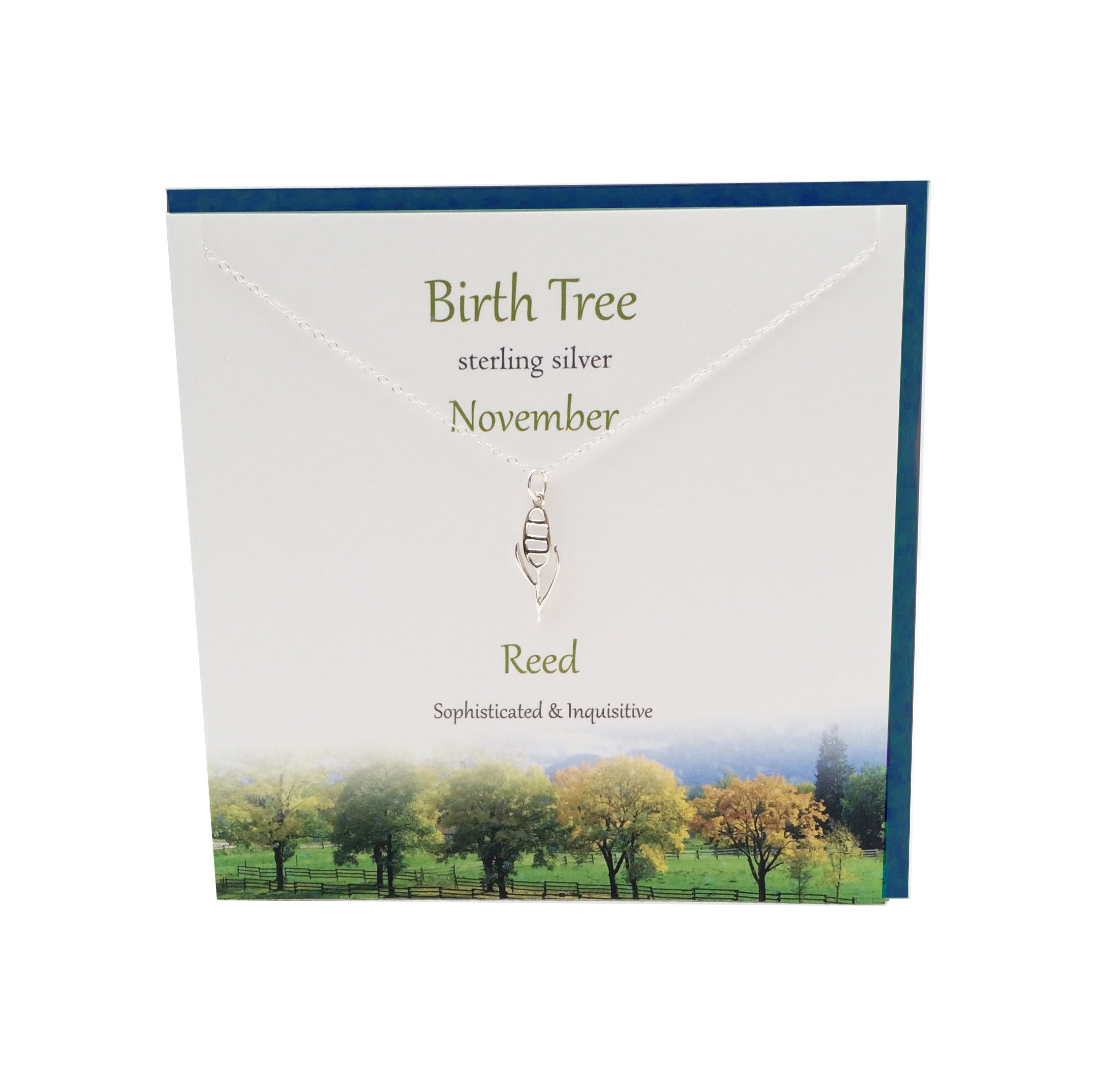 November Birth Tree Reed silver necklace | The Silver Studio Scotland