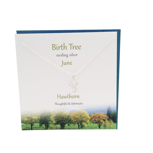 June Birth Tree Hawthorn silver necklace | The Silver Studio Scotland